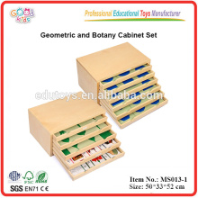 Montessori Teaching Aids Geometric and Botany Cabinet Teaching Resource